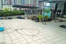 南宁一业主为了防止楼面渗水，竟在楼顶建起“自家菜园”图片