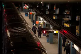 美国亚裔女子等车时被推下站台丧生，嫌犯曾被捕10次图片