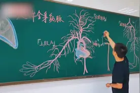 杭州一大学老师用粉笔手绘人体器官，下课后学生围着拍照视频封面