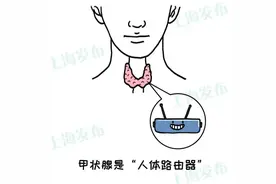 甲状腺是人体路由器，生病对健康到底有什么影响？图片