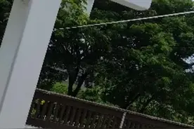 汤加海底火山喷发或致邻国斐济发生酸雨 天目新闻连线斐济当地华人图片