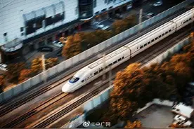 12306提供临时电子身份证图片