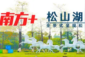 松山湖开发者村迎来首位进驻“村民”！首款搭载鸿蒙系统的台铃电动车发布图片