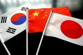 RCEP生效后中日韩该怎么合作？这场对话或许能给出答案图片