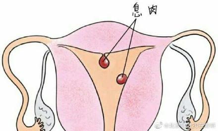 居恬然