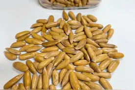 还有人不知道巴西松子不是巴西的松子吗？图片