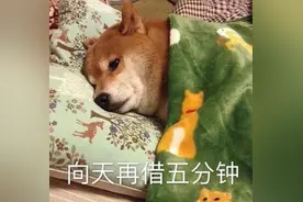 注意！上班时间有变图片