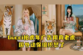 Gucci虎年广告用了真老虎，国外动保组织怒了视频封面