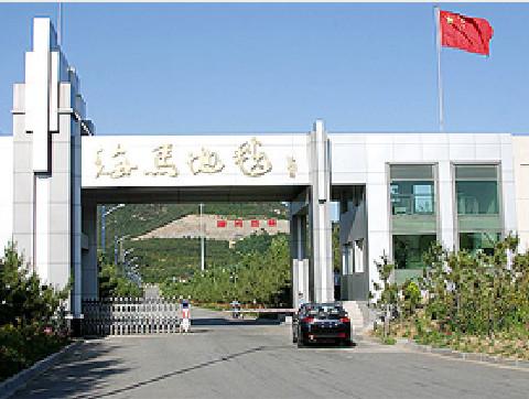 地毯端优化（海马地毯上马两高端项目）