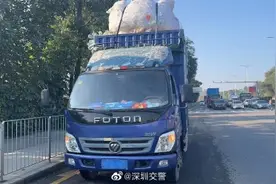 超长超高，大货车成为“大祸车”?图片
