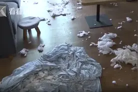 女主播退租不成故意把房子搞成“命案现场”，还将房东拉黑...图片