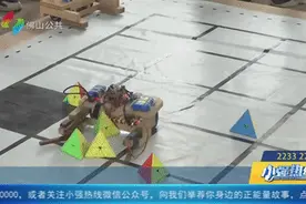 酷炫！南海教师花费七年心血，研发出独家魔方机器人图片
