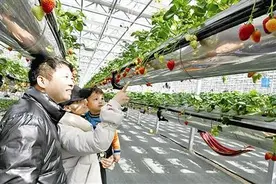 百余项特色节会活动等你来！就地过年，青岛旅游送上“大餐”图片