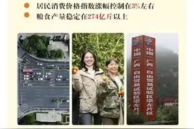 两会代表、委员热议政府工作报告，干货满满图片