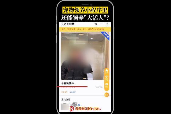 宠物领养小程序里竟能领养“大活人”？相关审核形同虚设