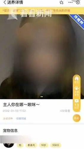 宠物领养小程序里竟能领养“大活人”？相关审核形同虚设