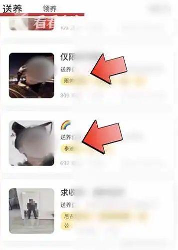 宠物领养小程序里竟能领养“大活人”？相关审核形同虚设
