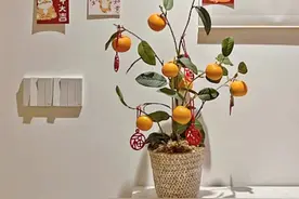 年味来了｜房屋的微小改造图片
