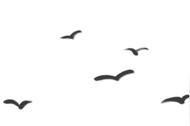 闽东廉吏故事 | 岩洞求学——游朴小故事（一）图片