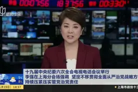 十九届中央纪委六次全会电视电话会议举行  李强在上海分会场强调  坚定不移贯彻全面从严治党战略方针  持续压紧压实管党治党责任视频封面