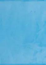 美白身体乳推荐细闪