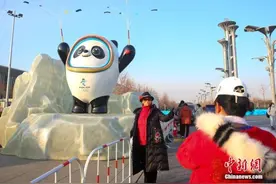 从“盼盼”到“冰墩墩”，大熊猫为什么是世界公认的中国形象“代言人”？图片