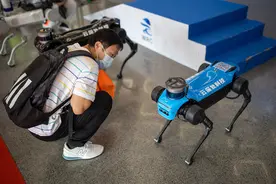 连遛狗都开始内卷了！十来万的机器狗当宠物，你才是真的“狗”图片