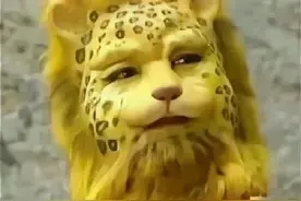 金钱豹表情火了！各种版本笑哭……图片