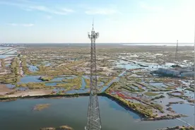 700MHz频段5G网络80公里 山东移动助推“信息内海”建设图片