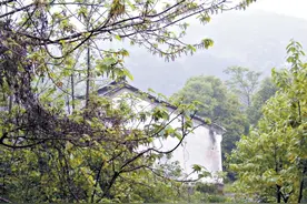 穹窿山，隐者之山图片