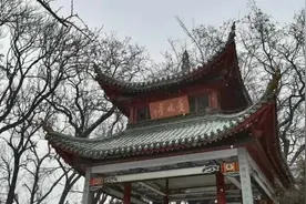 当大寒遇上飞雪，北京号带您“云赏”如画雪景图片