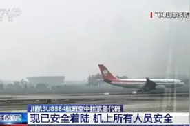 舆情速递丨川航航班空中挂紧急代码原因公布：出现单发失效故障图片
