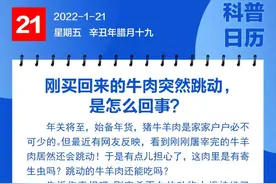 钦州科普日历丨刚买回来的牛肉突然跳动，是怎么回事？图片