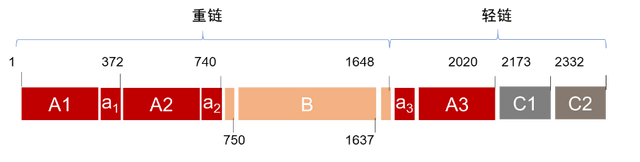 “安全调查员”看凝血因子VIII之B结构域