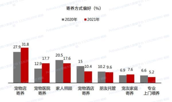 春节前宠物寄养火爆，上门喂养服务兴起！周到君带你体验上门遛狗……