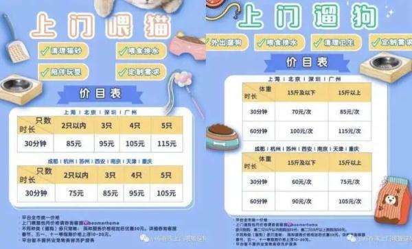 春节前宠物寄养火爆，上门喂养服务兴起！周到君带你体验上门遛狗……