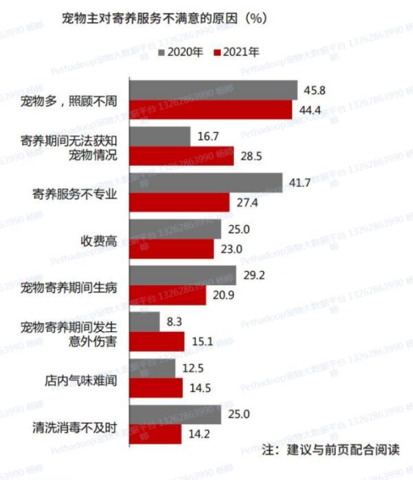 春节前宠物寄养火爆，上门喂养服务兴起！周到君带你体验上门遛狗……