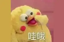 重要！今起开启！上海人心心念念的烟花也安排上啦图片