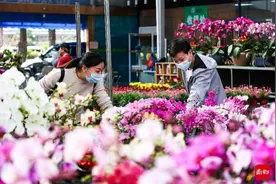 行花街买对联备年货……春节临近，全国各地年味渐浓图片