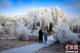 2022年首场降雪 来看六盘山下的“水墨画”图片