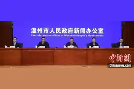 浙江温州出台新政支持新能源汽车产业发展及推广应用图片