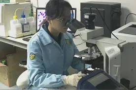 长隆野生动物世界化验员：疫情期间的动物园，你不知道的另一面图片