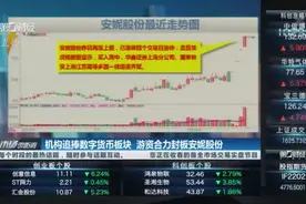 机构追捧数字货币板块 游资合力封板安妮股份|龙虎榜