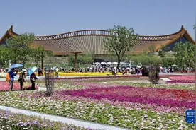 钟华论：赓续中华文脉，光耀复兴之路图片