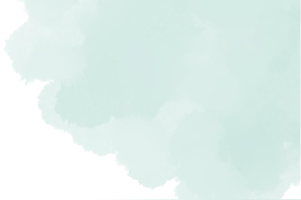 晚安故事｜上新了，BNU猫猫图鉴！图片