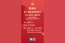 新一届镇海区委领导班子选举产生 林雅莲任区委书记图片
