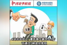 早茶 | @河北农民工 遭恶意欠薪可通过3种途径维权图片