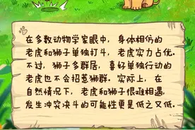 没想到，你是这样的虎！图片