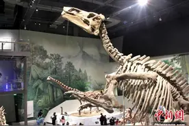 山东白垩纪恐龙展开展“巨型山东龙”亮相图片
