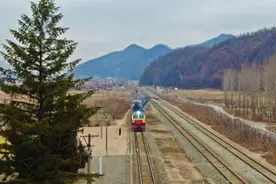 鸡鸭、鹅蛋、蘑菇……火车上也能买年货图片